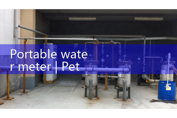 portable water meter